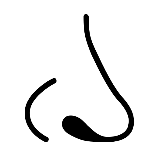 دانلود آیکون بینی