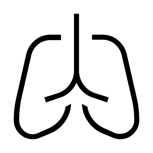 دانلود آیکون ریه